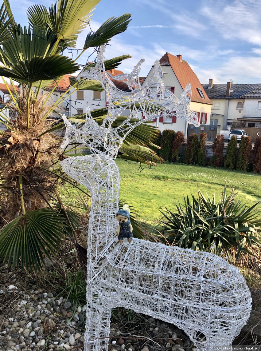 Новогоднее путешествие Санни в Германию (фото 6)