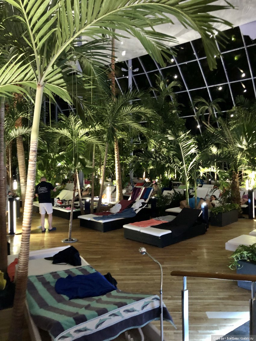 Новогоднее путешествие Санни в Германию