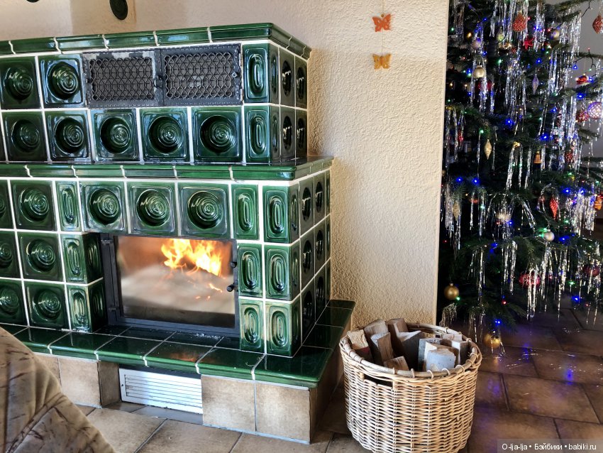 Новогоднее путешествие Санни в Германию (фото 8)