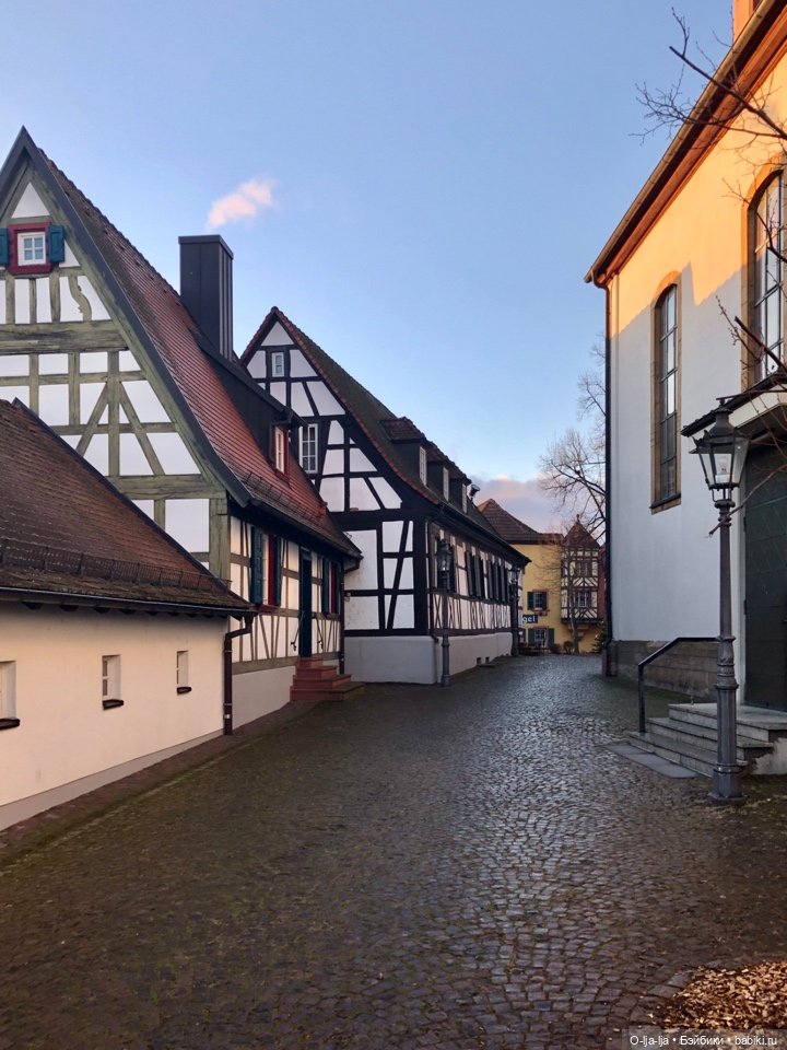 Новогоднее путешествие Санни в Германию