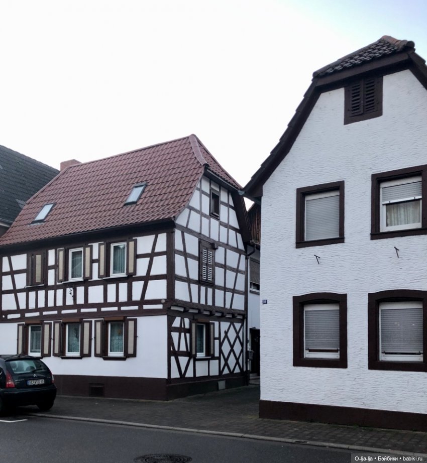 Новогоднее путешествие Санни в Германию