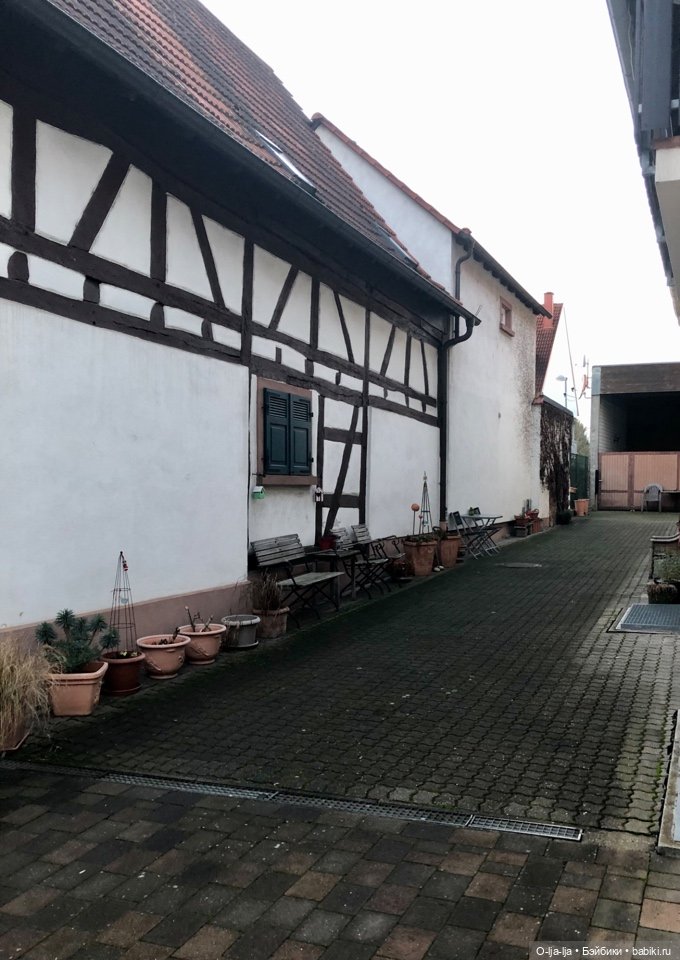 Новогоднее путешествие Санни в Германию