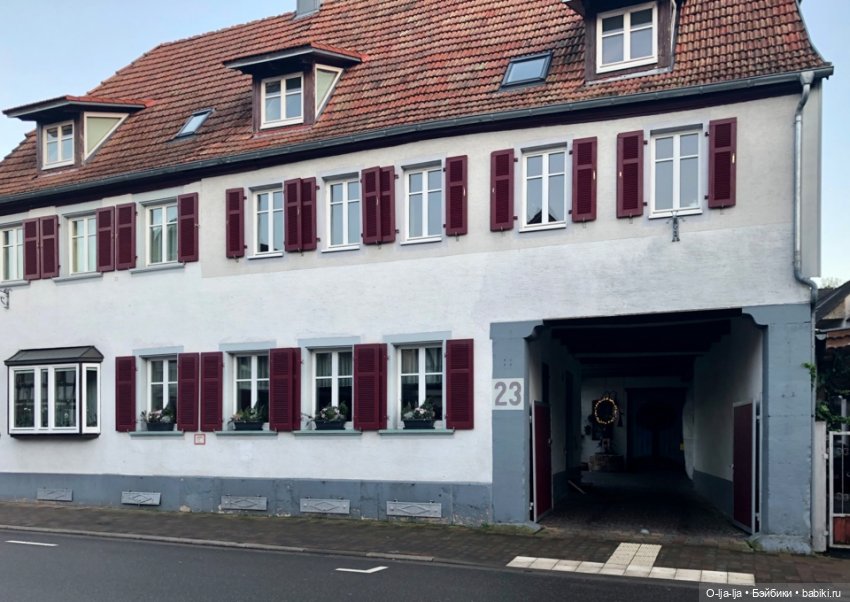 Новогоднее путешествие Санни в Германию