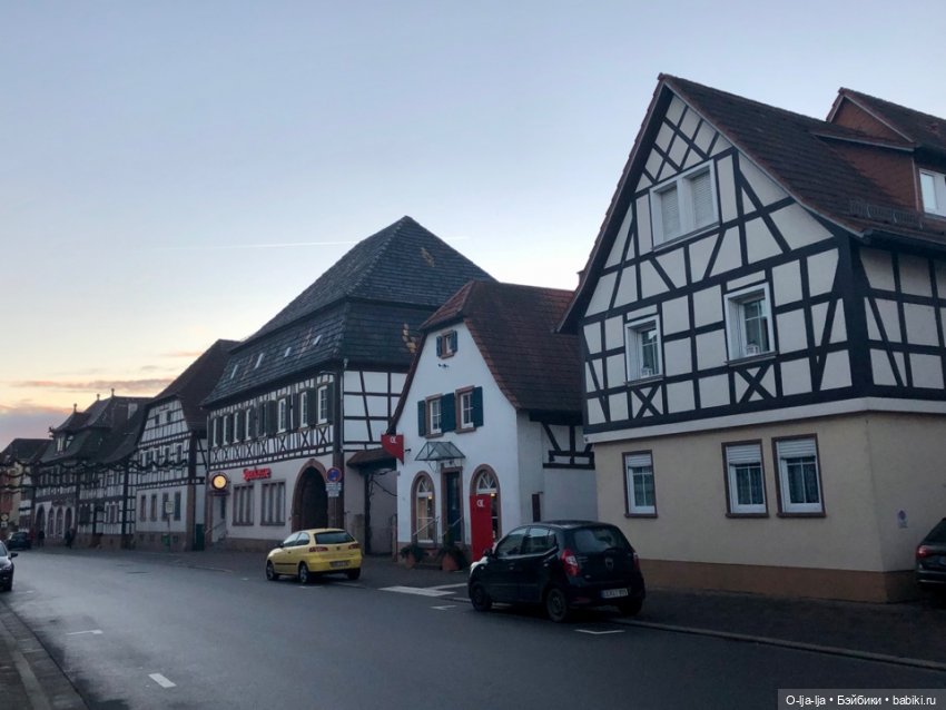 Новогоднее путешествие Санни в Германию