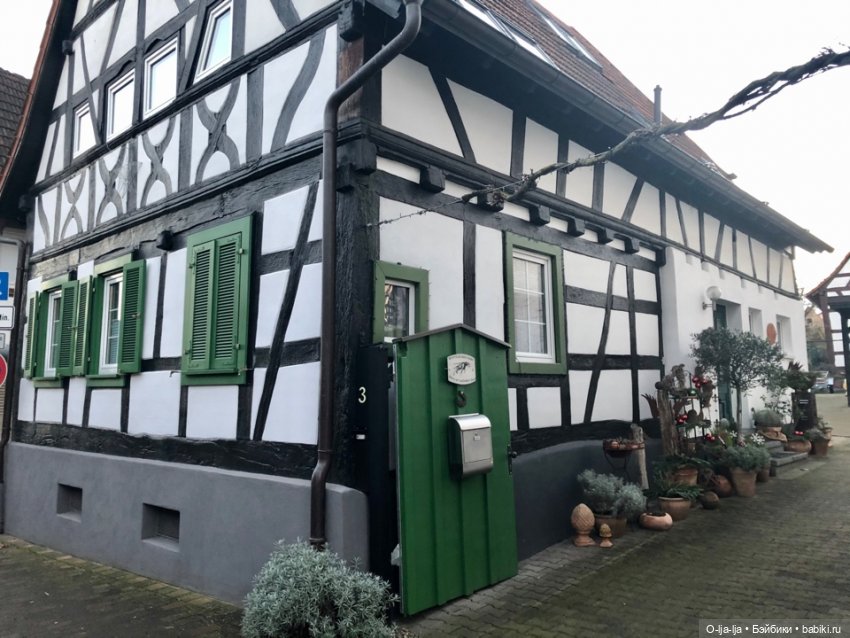 Новогоднее путешествие Санни в Германию