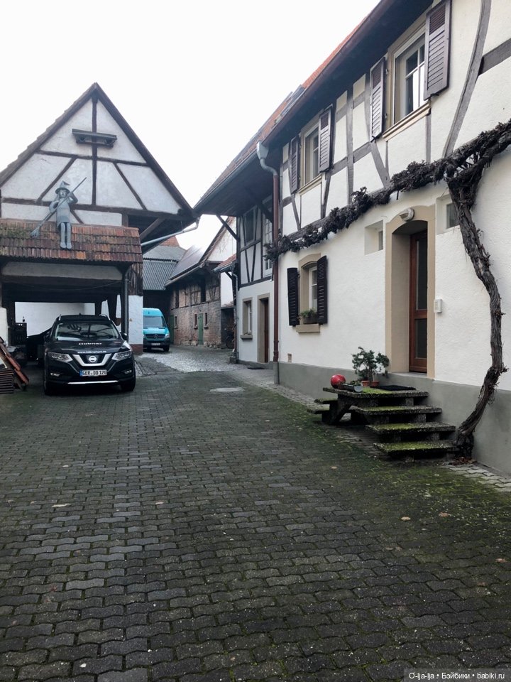 Новогоднее путешествие Санни в Германию