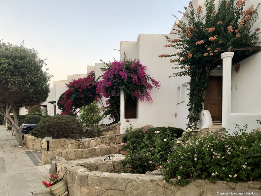 Умиротворяющий Кипр — Туризм и путешествия: фотоотчеты из поездок