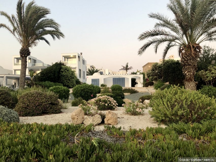 Умиротворяющий Кипр — Туризм и путешествия: фотоотчеты из поездок