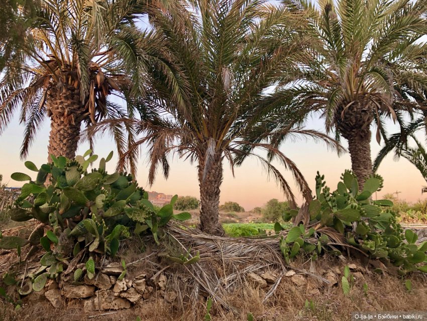 Умиротворяющий Кипр — Туризм и путешествия: фотоотчеты из поездок