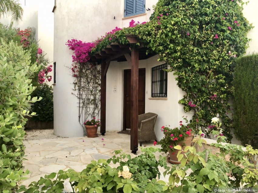 Умиротворяющий Кипр — Туризм и путешествия: фотоотчеты из поездок