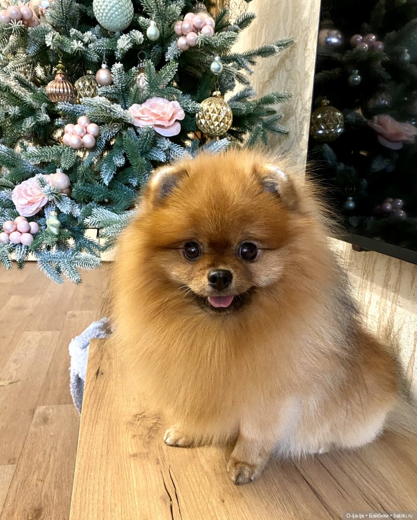 И вот она, нарядная, на праздник к нам пришла