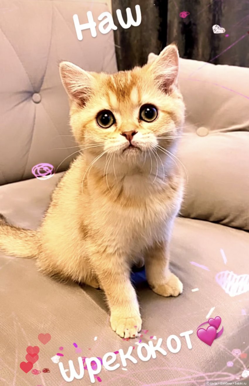 И вот она, нарядная, на праздник к нам пришла (фото 10)