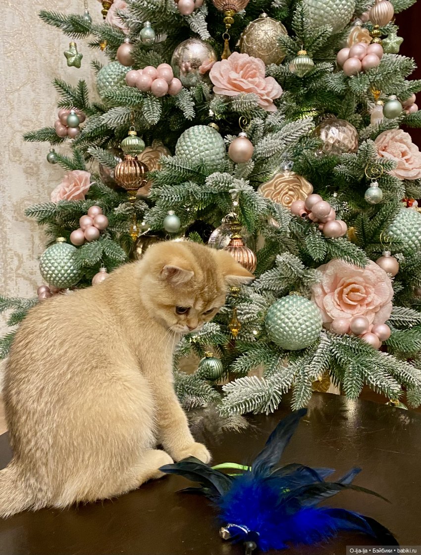 И вот она, нарядная, на праздник к нам пришла (фото 8)