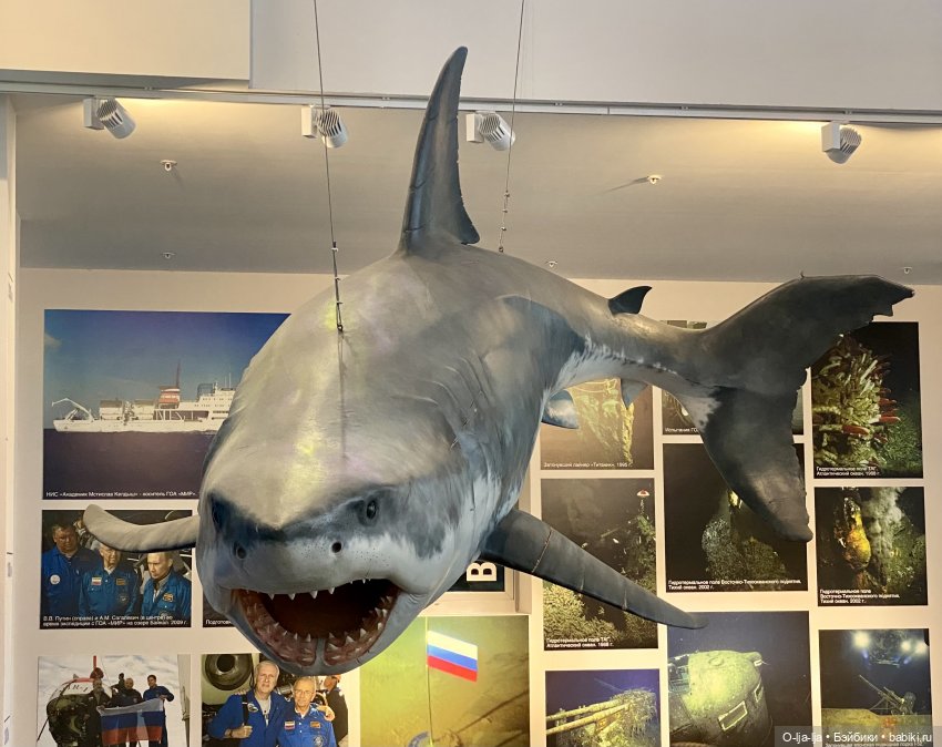 Балтийское путешествие — Туризм и путешествия: фотоотчеты из поездок