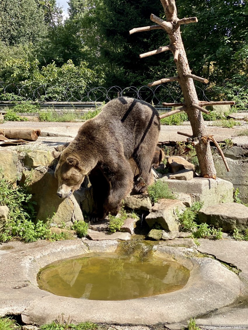 Балтийское путешествие — Туризм и путешествия: фотоотчеты из поездок