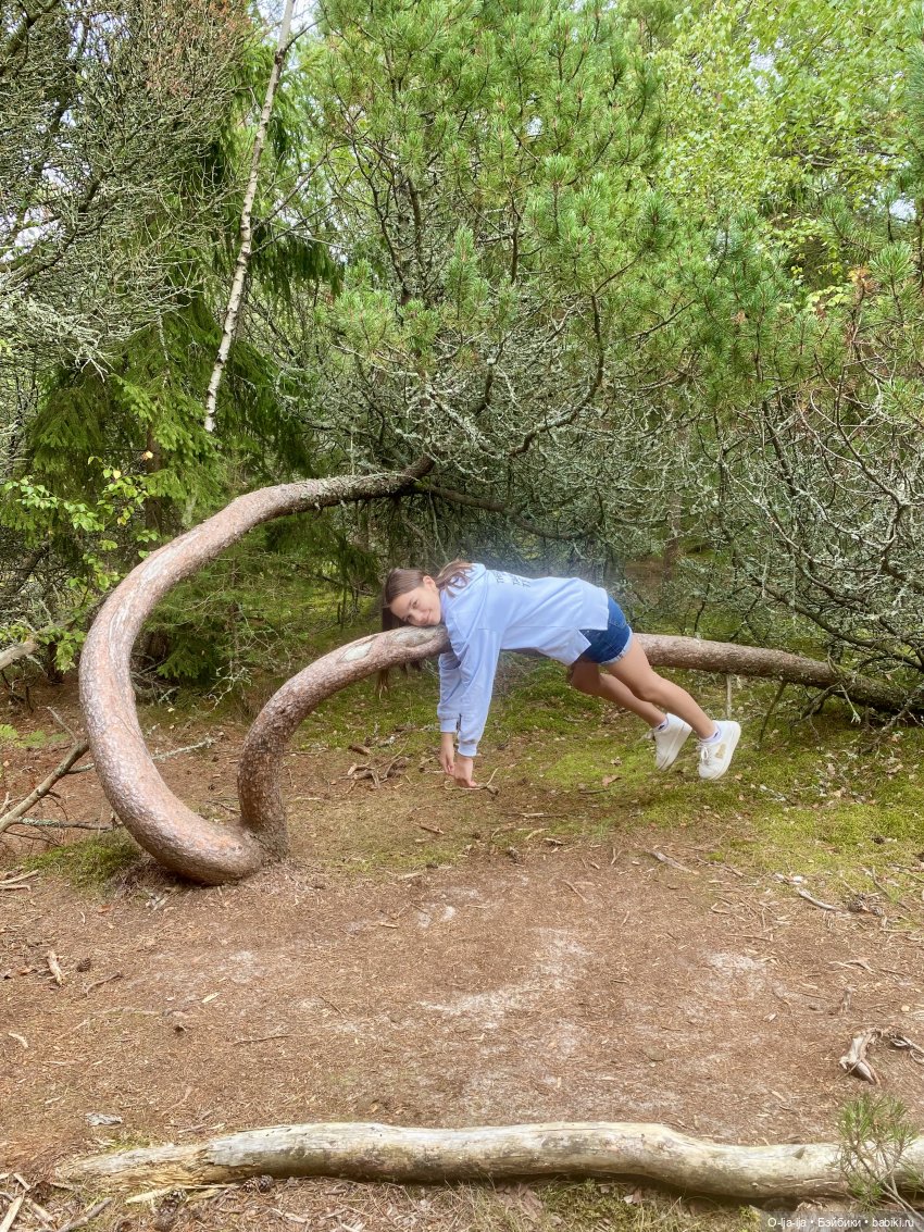 Балтийское путешествие — Туризм и путешествия: фотоотчеты из поездок