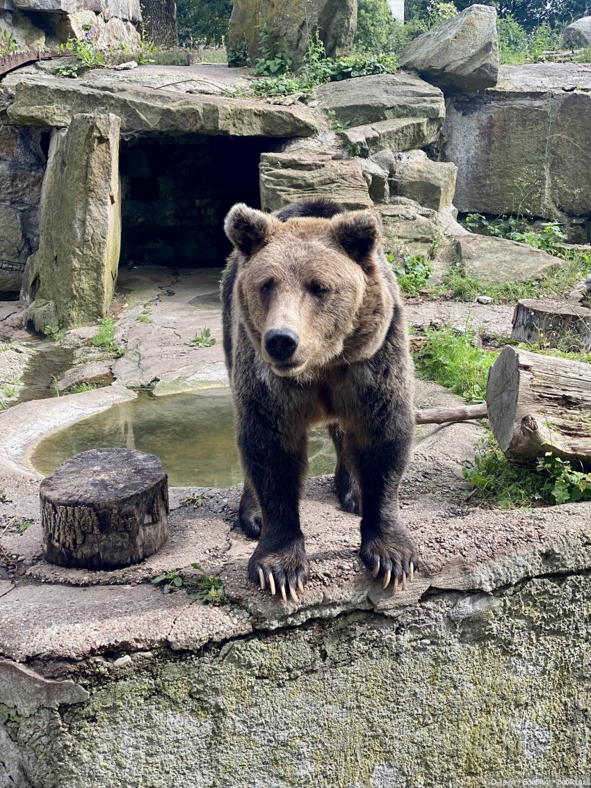 Балтийское путешествие — Туризм и путешествия: фотоотчеты из поездок