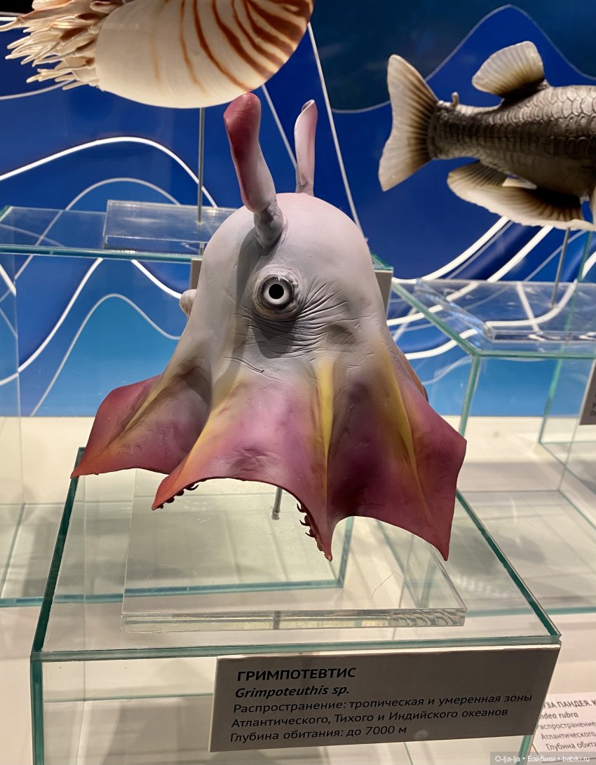 Балтийское путешествие — Туризм и путешествия: фотоотчеты из поездок