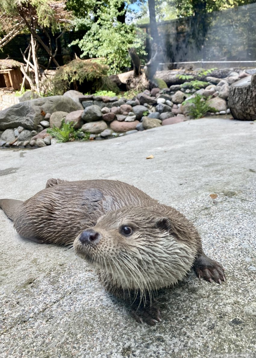 Балтийское путешествие — Туризм и путешествия: фотоотчеты из поездок