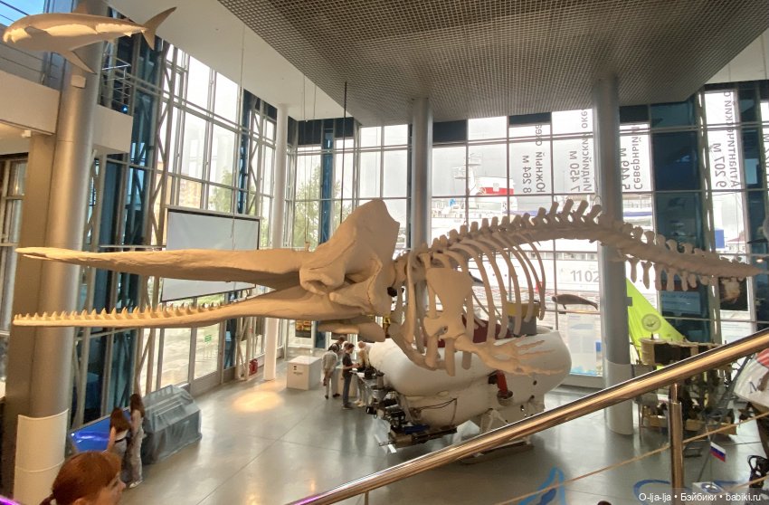 Балтийское путешествие — Туризм и путешествия: фотоотчеты из поездок