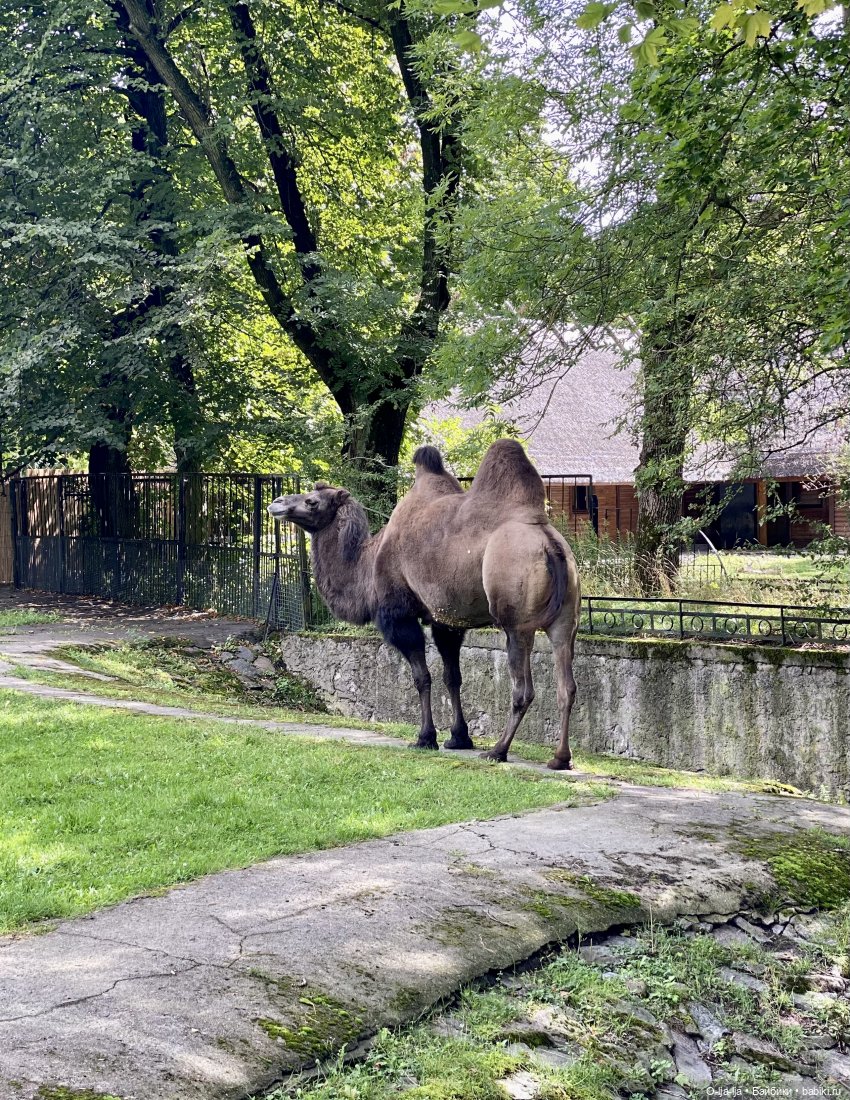 Балтийское путешествие — Туризм и путешествия: фотоотчеты из поездок