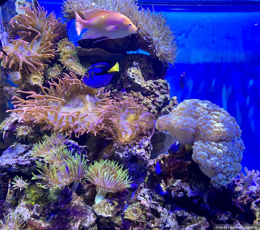 Балтийское путешествие — Туризм и путешествия: фотоотчеты из поездок