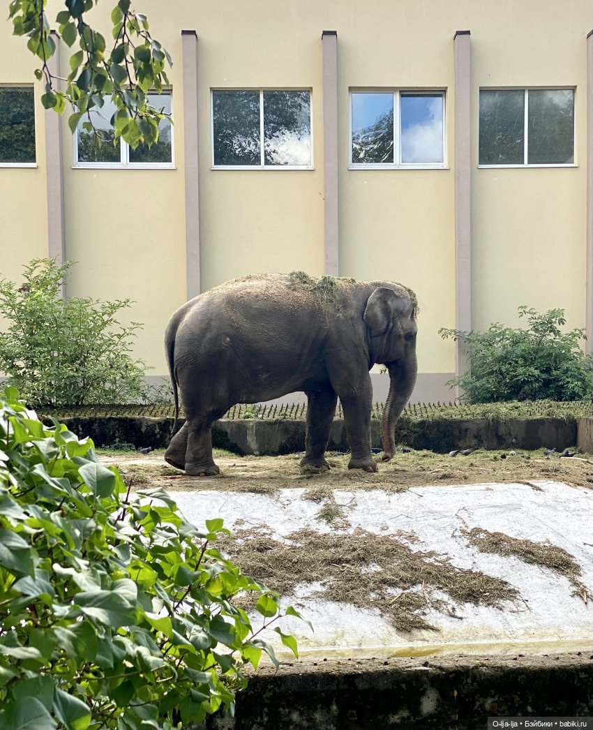 Балтийское путешествие — Туризм и путешествия: фотоотчеты из поездок