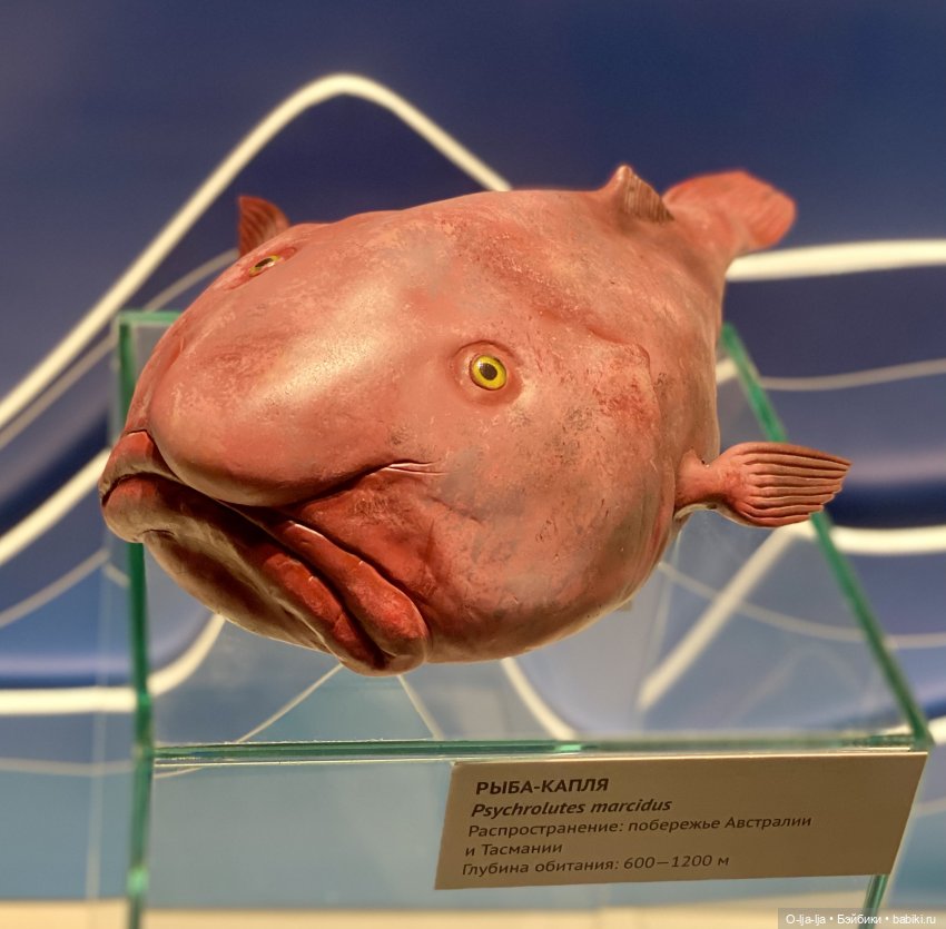 Балтийское путешествие — Туризм и путешествия: фотоотчеты из поездок