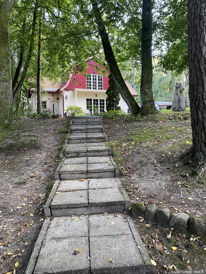 Балтийское путешествие — Туризм и путешествия: фотоотчеты из поездок