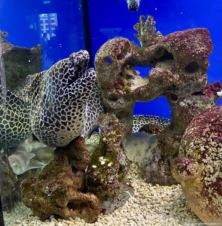 Балтийское путешествие — Туризм и путешествия: фотоотчеты из поездок