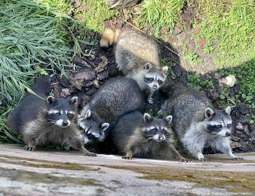 Балтийское путешествие — Туризм и путешествия: фотоотчеты из поездок