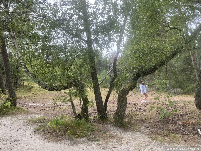 Балтийское путешествие — Туризм и путешествия: фотоотчеты из поездок