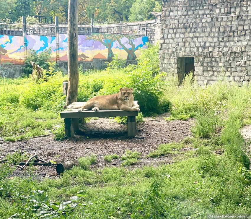 Балтийское путешествие — Туризм и путешествия: фотоотчеты из поездок