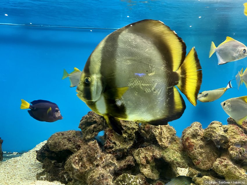 Балтийское путешествие — Туризм и путешествия: фотоотчеты из поездок