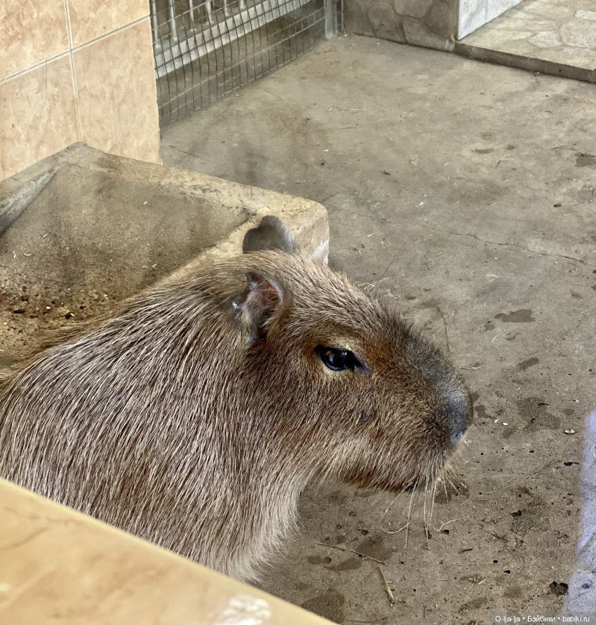 Балтийское путешествие — Туризм и путешествия: фотоотчеты из поездок