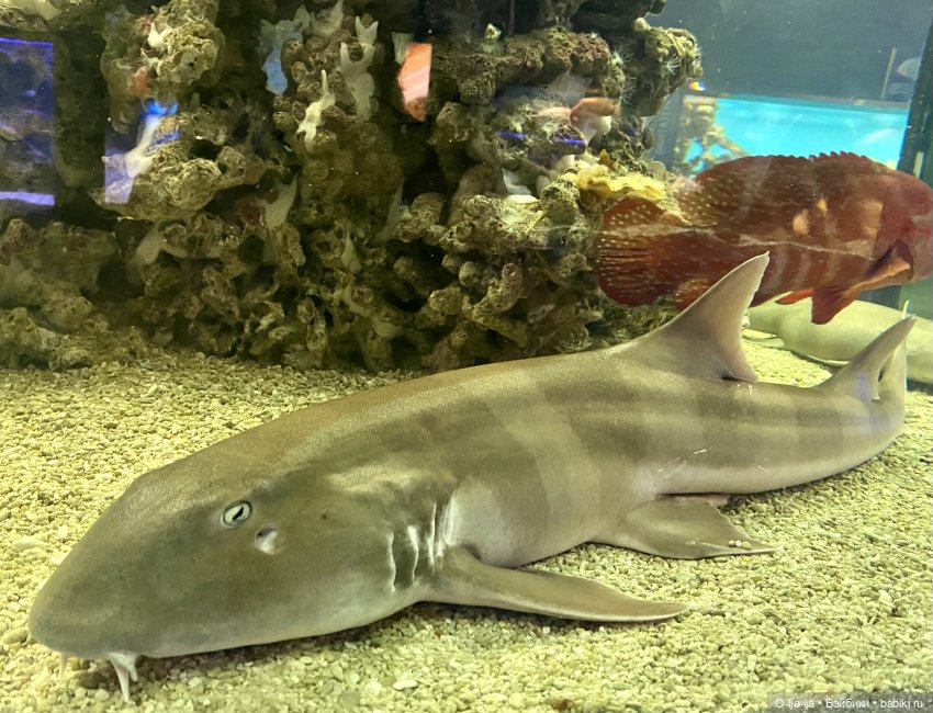 Балтийское путешествие — Туризм и путешествия: фотоотчеты из поездок