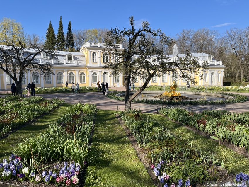 Прогулки по Питеру и Москве