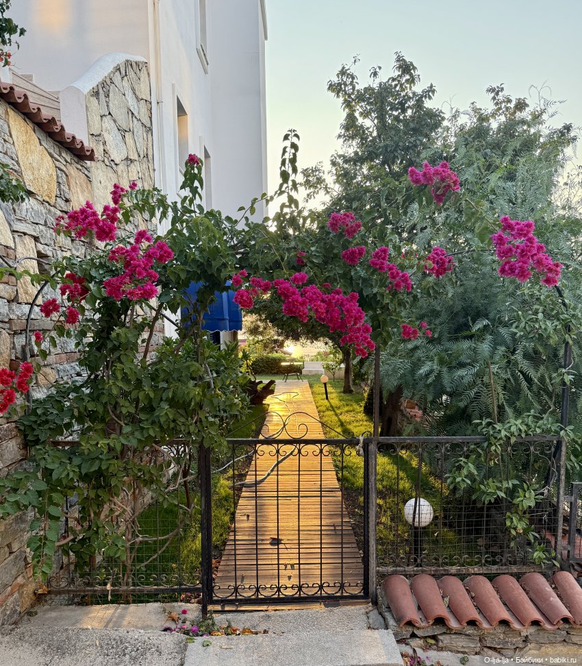 Бодро по Бодруму — Туризм и путешествия: фотоотчеты из поездок