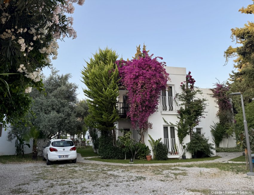 Бодро по Бодруму — Туризм и путешествия: фотоотчеты из поездок