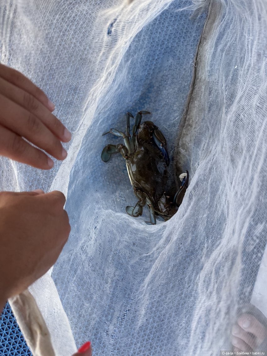 Бодро по Бодруму — Туризм и путешествия: фотоотчеты из поездок