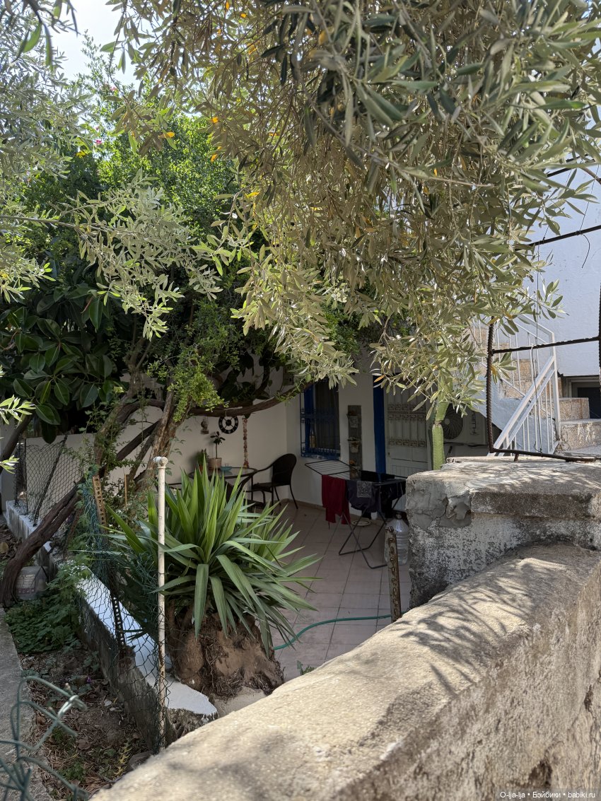 Бодро по Бодруму — Туризм и путешествия: фотоотчеты из поездок