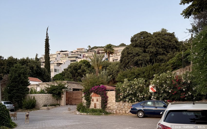 Бодро по Бодруму — Туризм и путешествия: фотоотчеты из поездок