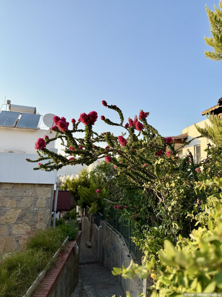 Бодро по Бодруму — Туризм и путешествия: фотоотчеты из поездок