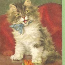 Немного прекрасного III - коротенько о котиках Merlin