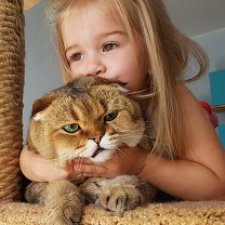 Предновогодняя мимимишная публикация. О любви. О нежности. О девочках. О котиках