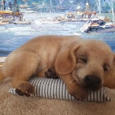 Мои итоги 2022