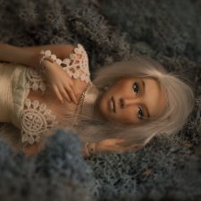 Чуть больше Луны, леса и мха. Шарнирная кукла