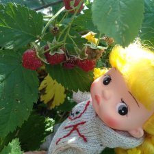 Из жизни маленьких человечков