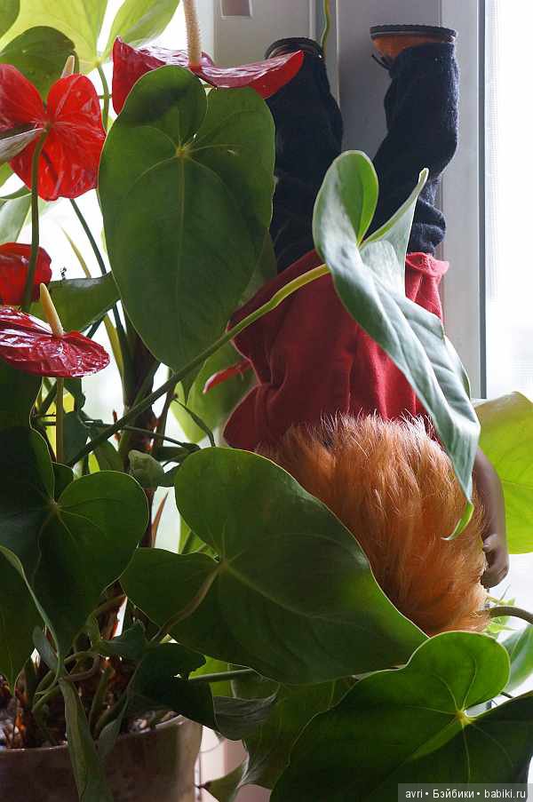 Анна Цвергназе приехала! Или как мы готовились к встрече. Часть 2 (фото 6)