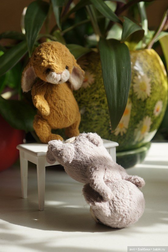 Новые приключения зайцев. Часть 12 (фото 9)